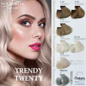 Discover the new professional paint line launched by Maxxelle: Trendy Twenty!